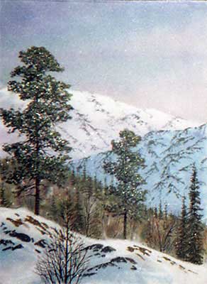 В горах. Зимний горный пейзаж. Картина из каменной крошки.Кувшинов В.Н.